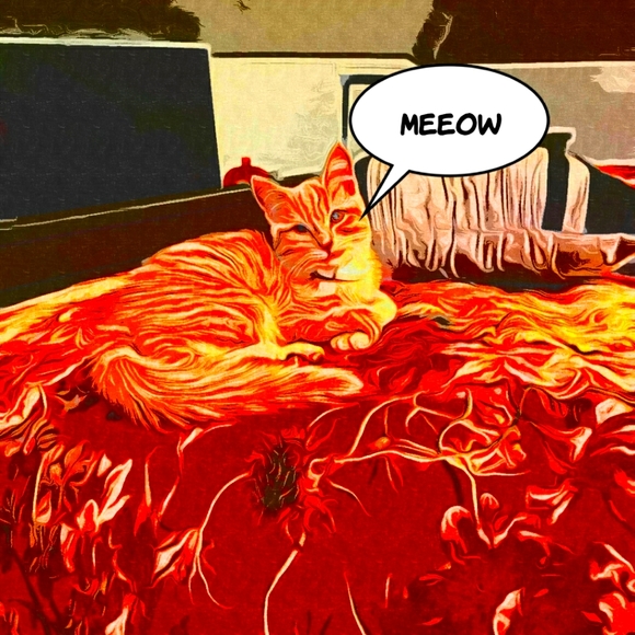 Aint - Picture 1 of 1